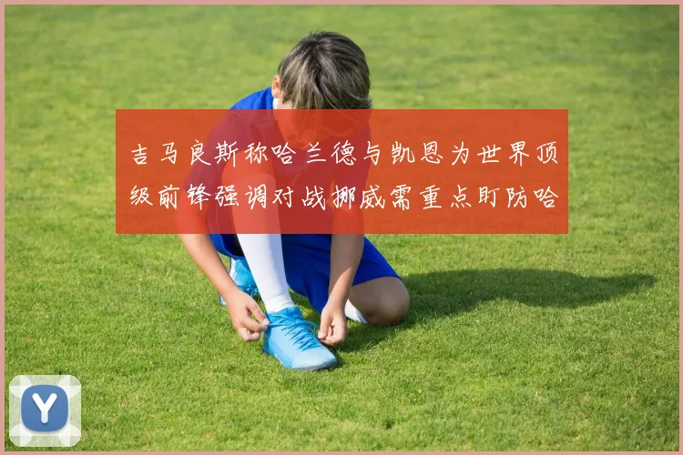吉马良斯称哈兰德与凯恩为世界顶级前锋强调对战挪威需重点盯防哈兰德